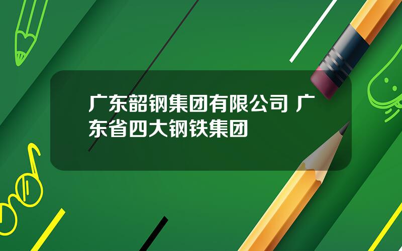 广东韶钢集团有限公司 广东省四大钢铁集团